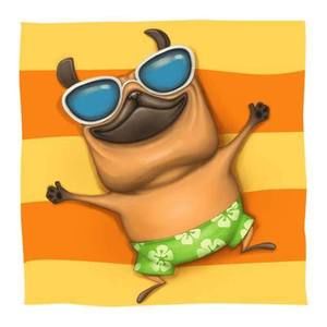 Meet your Posher, Anne